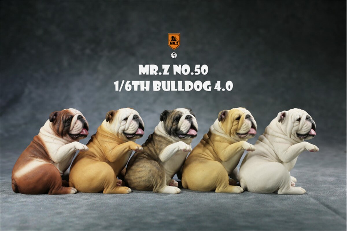 Mr.Z Studio 1:6 British Bulldog V4.0 Dog Pet Healing Figure Canidae Animal Model Toy Collector Desktop Decor Adult Unisex