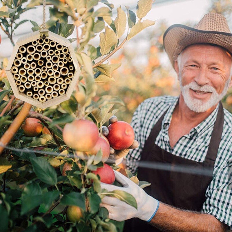 Bee House Handmade Natural Wood Bee Hive Attracts Peaceful Bee Pollinators To Enhance Your Garden's Productivity