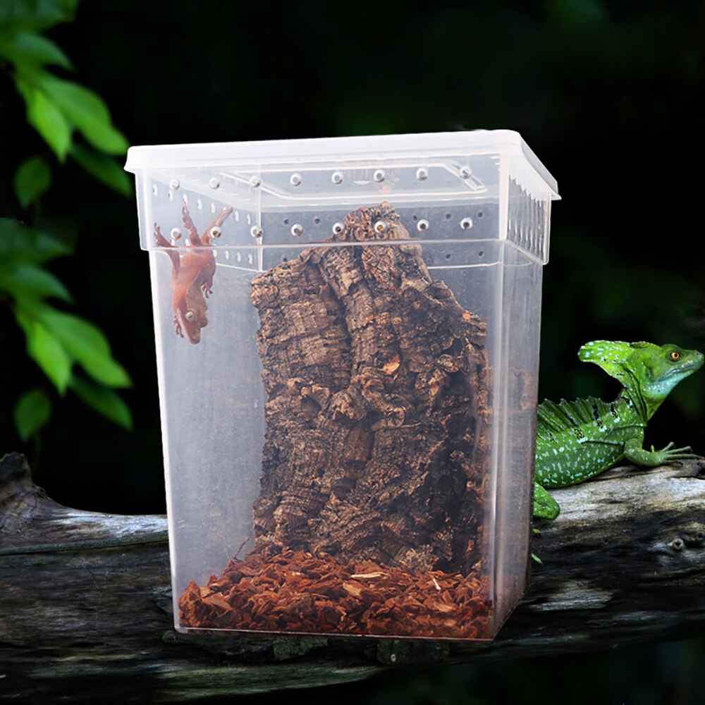 Climb Pet Box Spider Lizard Chameleon Guard Palace Tree Frog Special Transparent High Breeding Box Terrarium