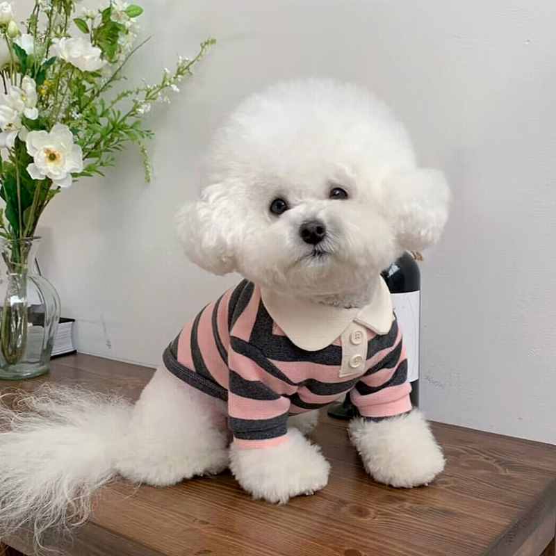 Mode Hond Gestreept Shirt Zomer Puppy Kleding Leuke Kat Vest Ademend Hond Dun Shirt Huisdier Kitten Kleding Chihuahua Kleding: Donkerbruin / S
