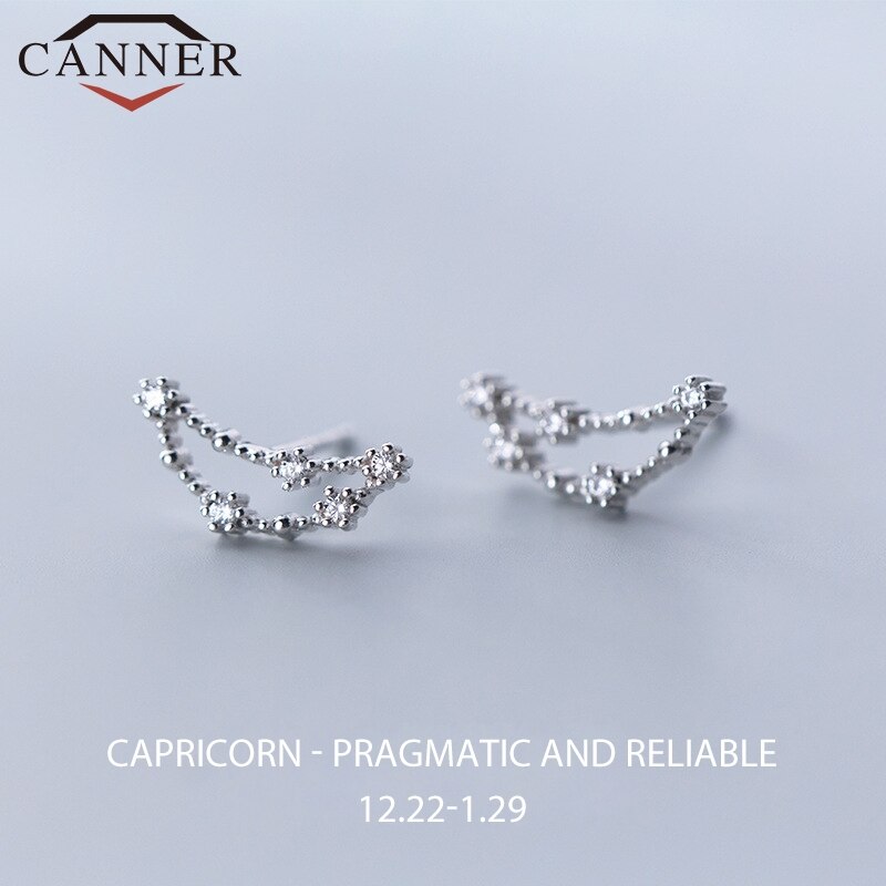 12 konstellation Kleine Frische Minimalistischen CZ Zirkon Ohrringe für Frauen 925 Sterling silber nette Stud Ohrringe Geburtstag: Capricorn