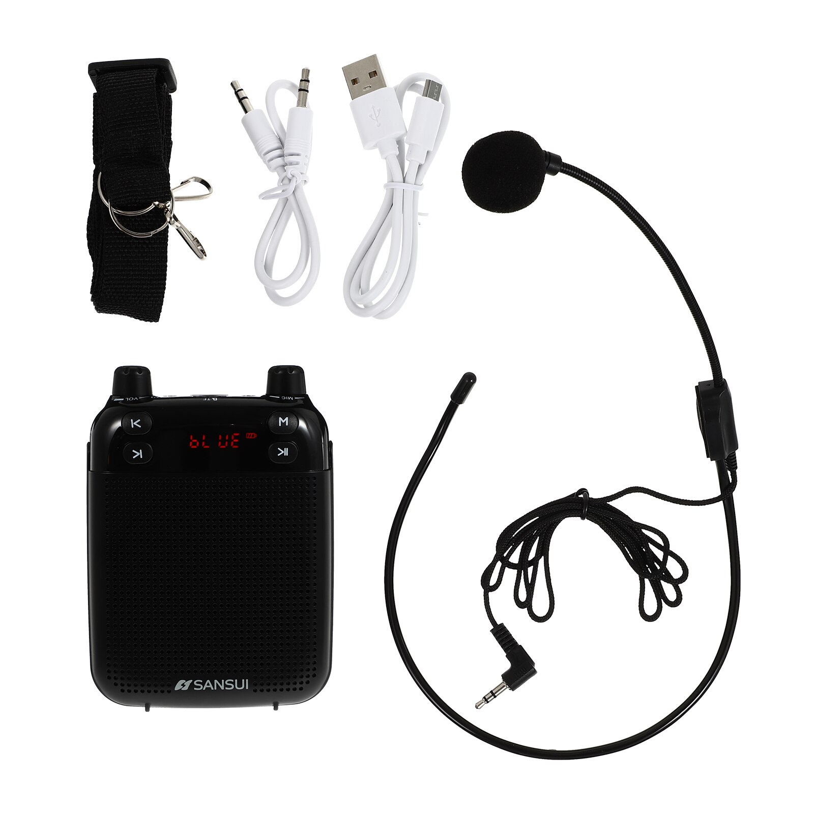 1 Set Wireless Voice Amplifier Wireless Sound Microphone Voice Amplifier Device (Black)
