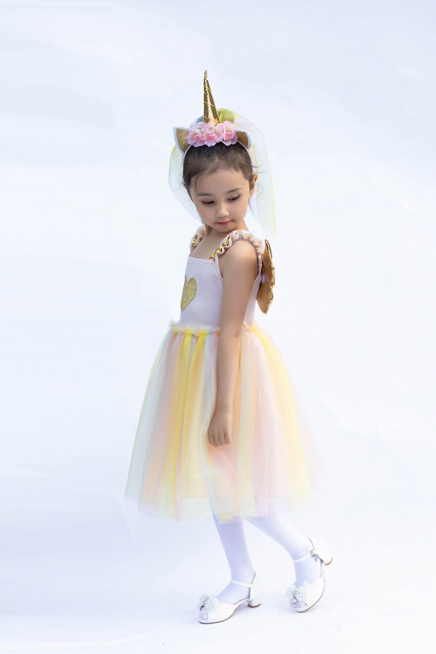 Halloween Dress up Unicorn Fairy