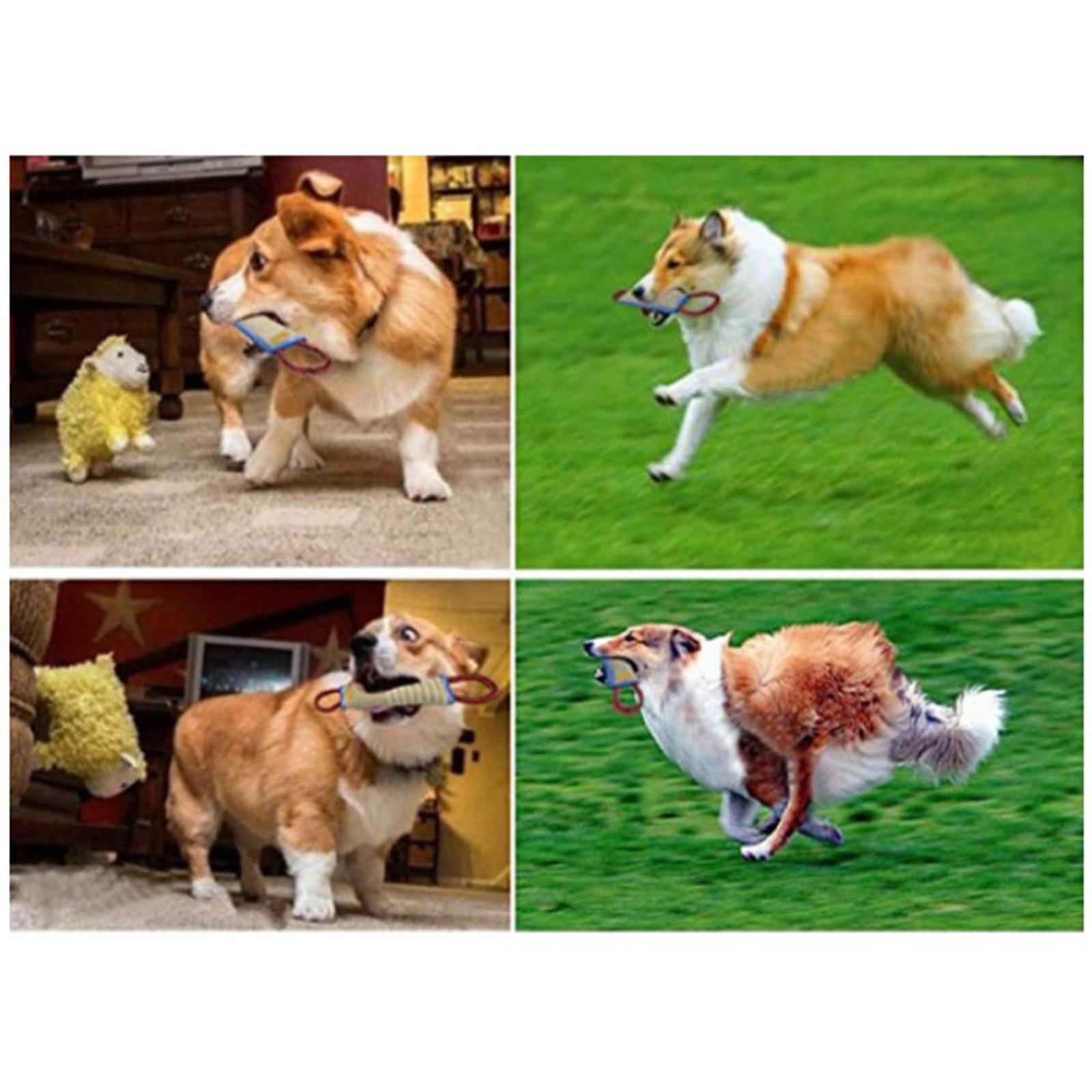 Dog Tug Toy W/ 2 Soft Handles, Tear-Resistant Bite Stick for Medium to Large Dogs Supplies