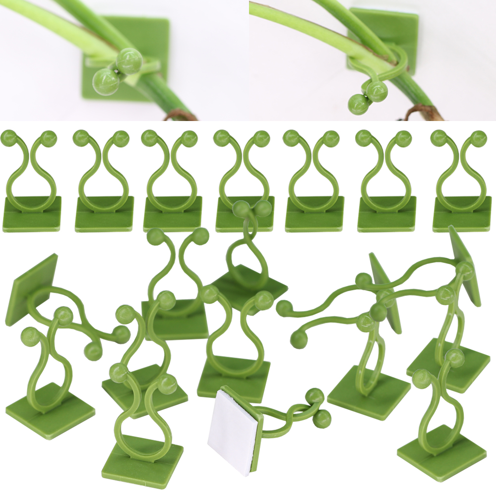 8–50 Stück Kletterpflanzen-Befestigungsclip, selbstklebend, gebundene Weinrebe, Klemmschnalle, Haubenhalter, Stützdraht, Wandstiel, Traktion für Hausgartendekoration