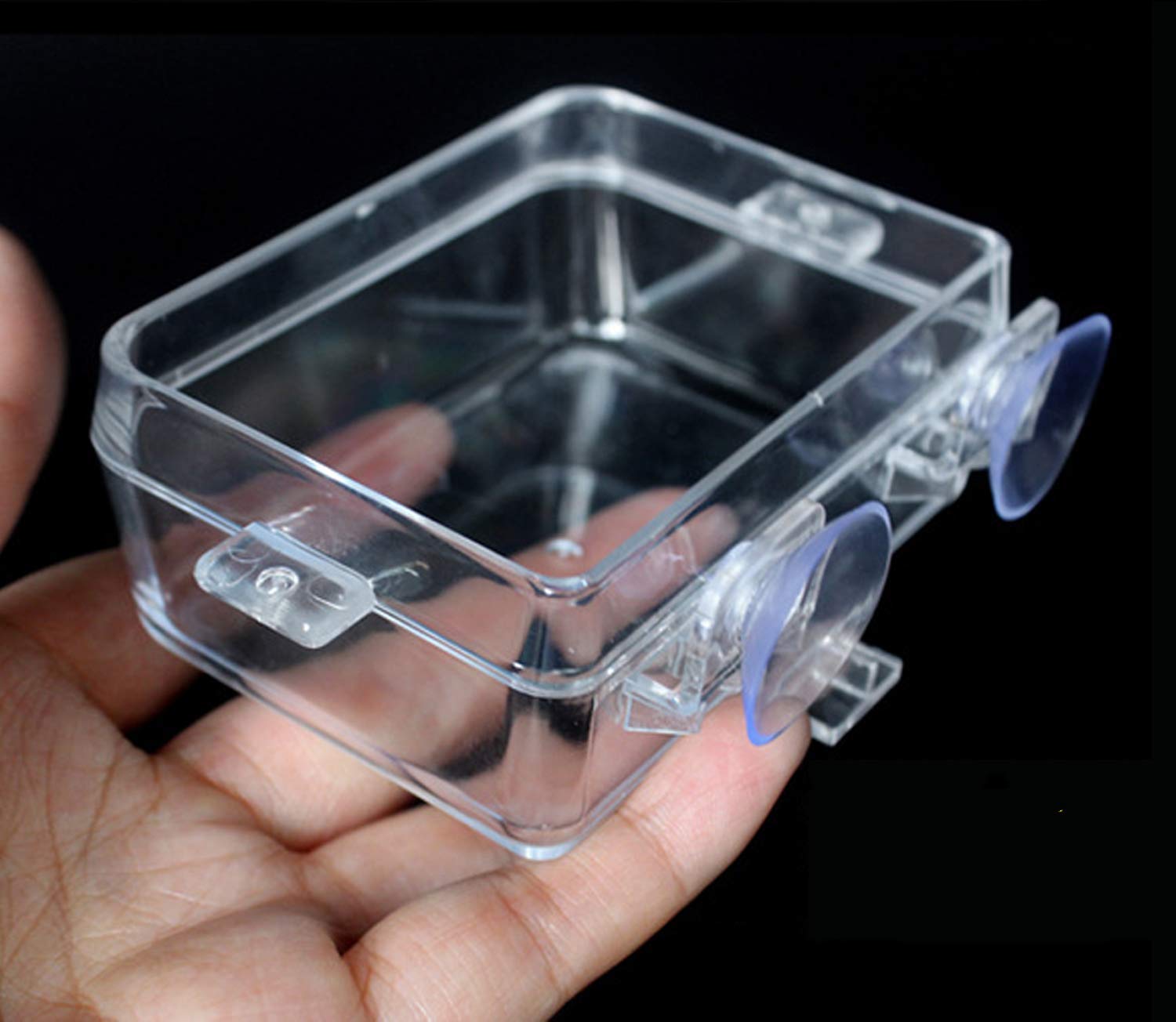 Comedero de reptiles cuenco de comida Anti-Escape con ventosa para tortuga Gecko culebras camaleón Iguana lagartija Accesorios