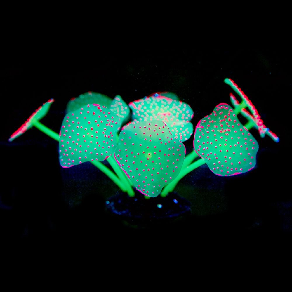Aankomsten 1 stuks 21cm hoge siliconen kunstmatige vissenkom aquarium koraal plant bloem ornament waterdecoratie huisdecoratie: 16