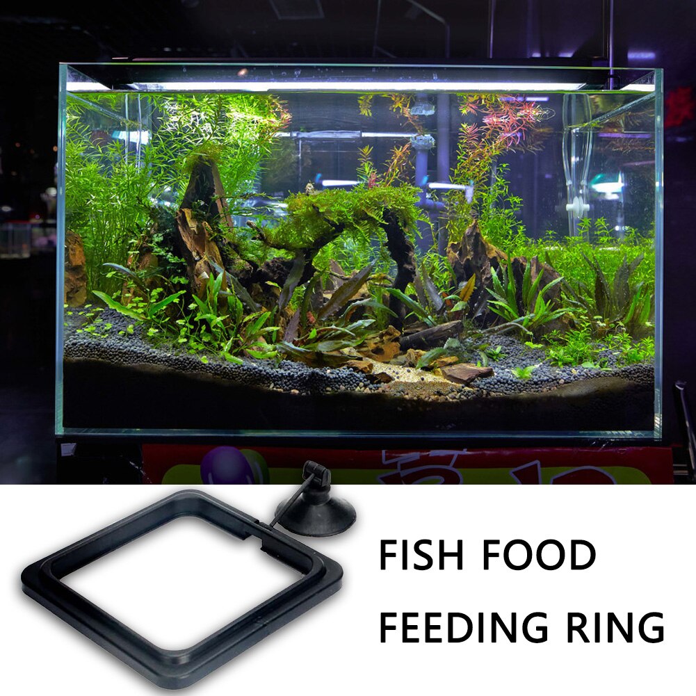 Aquarium Fütterung Ring Fisch Tank Station Schwimm Tablett Feeder Platz Kreis Zubehör Fischfutter Saugnapf Schwarz