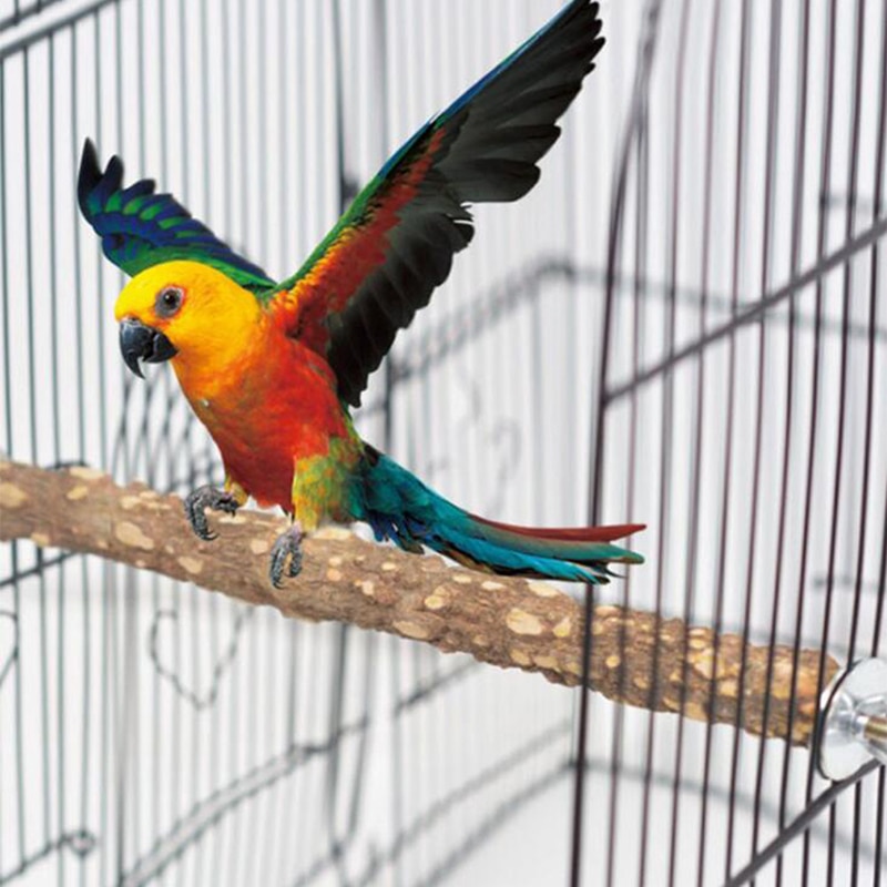 Oiseau griffe bec barre de meulage bâton debout perroquet Station pôle oiseau fournitures perroquet support griffes Cage accessoires 10cm: Default Title