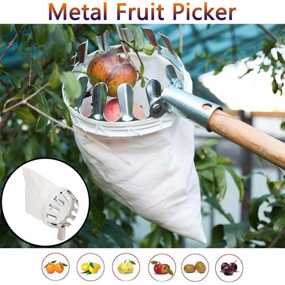 en métal cueilleur de fruits pratique horticole cueilleur de fruits jardinage pomme pêche cueillette outils outil de cueillette d'arbre élevé