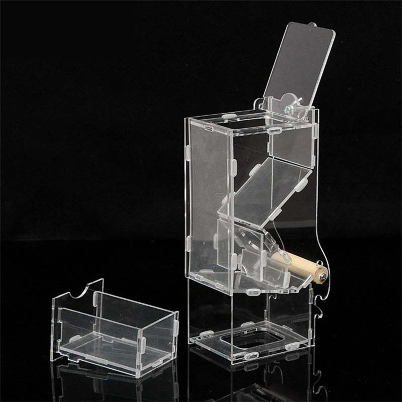 Bird feeder automatic feeding bird food container ostrich tiger peony cockatoo bird pigeon pigeon supplies plastic