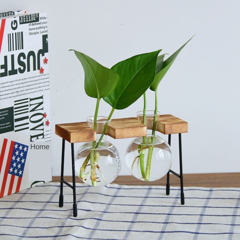 Florero de vidrio para plantas hidropónicas, marco de madera para cafetería, jarrón de decoración, terrario, bonsái para el hogar, estación de decoración