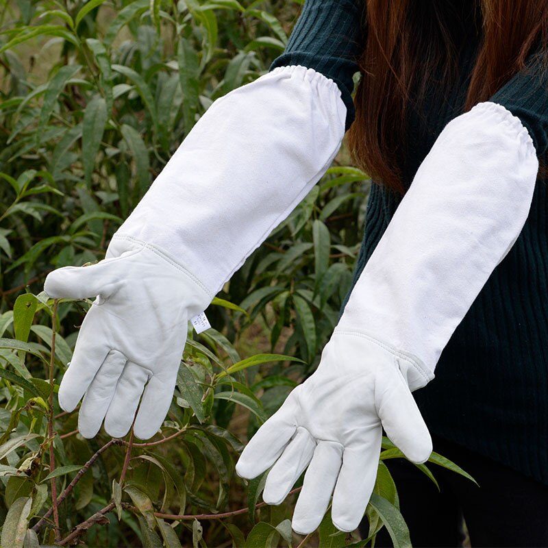 Apicultura roupas de proteção com véu chapéu de corpo inteiro anti-abelha terno siamese espaço terno apicultor profissional ferramentas e luvas