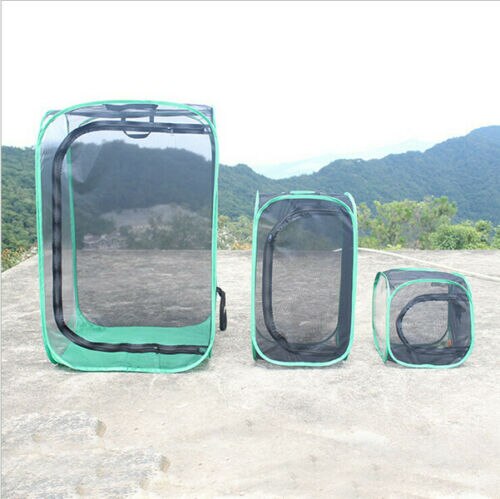 1 Pièces Mante religieuse Bâton Vert Portable Pliable D'insecte Caméléon Cage Boîtier Insectes Fournitures Boîtes à Mailles: Black Green / 30x30x30 cm