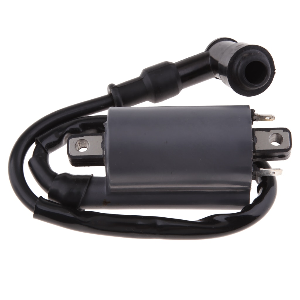 Hoge Prestaties Motorfiets Bobine Voor Buyang Feishen Linhai 260 260cc 300cc D300 G300 Atv
