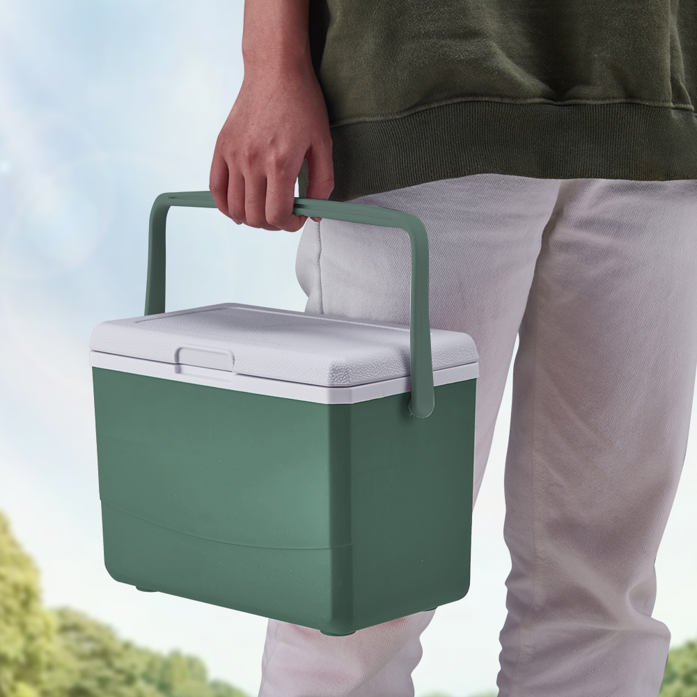 3L Insulated Portable Cooler with Handle Mini Freezer Fridge Heat Preservation Fresh-Keeping Incubator for Camping Tailgating