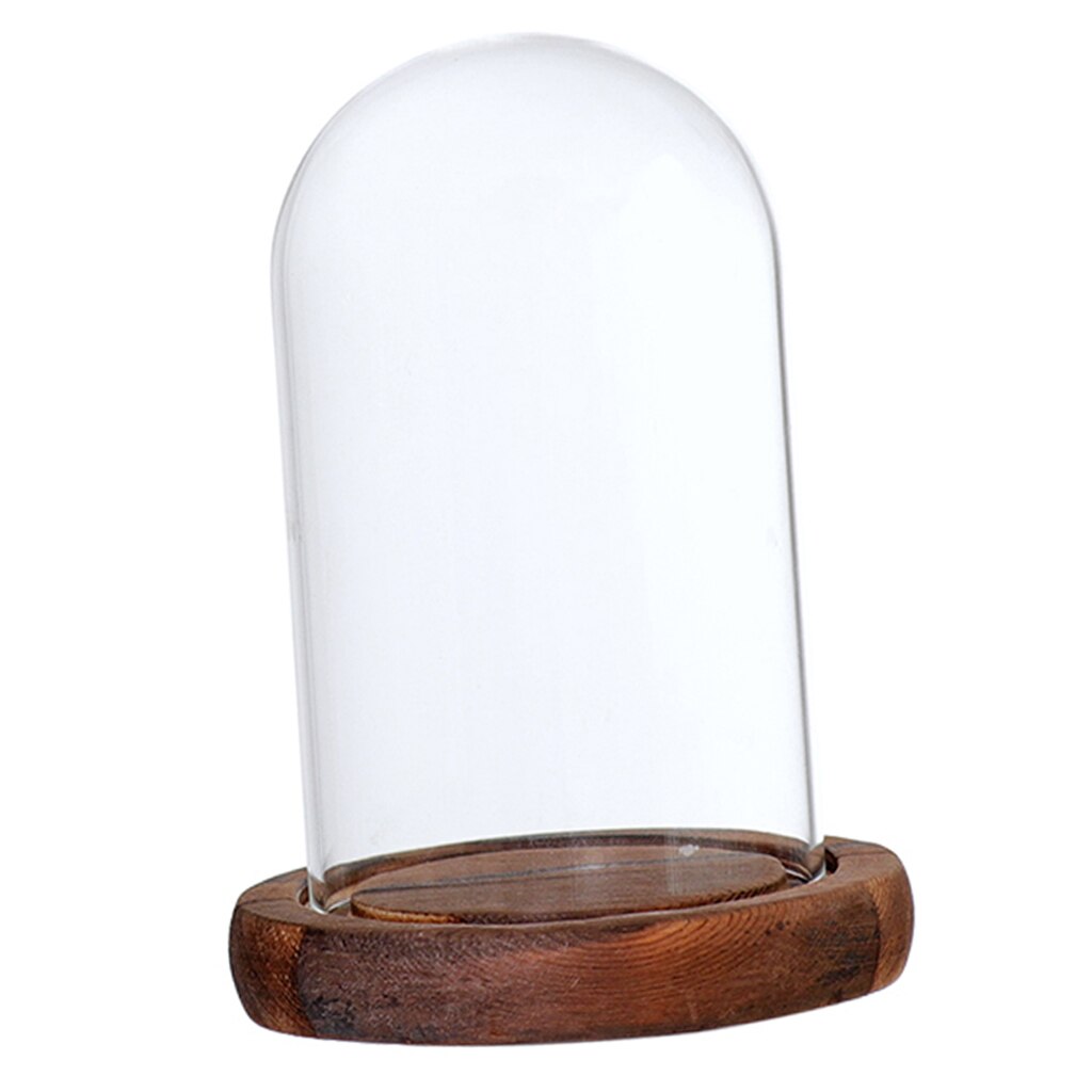 Glass Display Dome Cloche Bell Jar With Wooden Base for DIY Decoration PICK