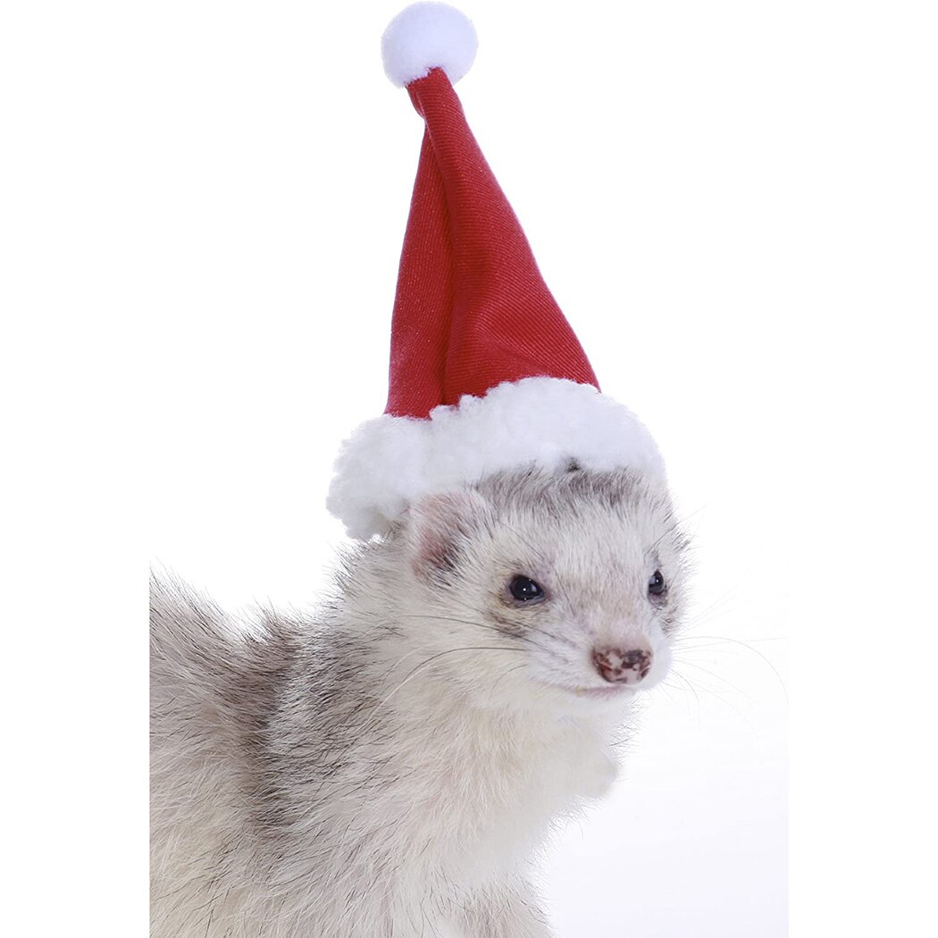 Small Animals Pet Santa Claus Hat Rabbit Hamster Guinea Pig Rats Festival Costume Christmas Cap with Band Pet Products