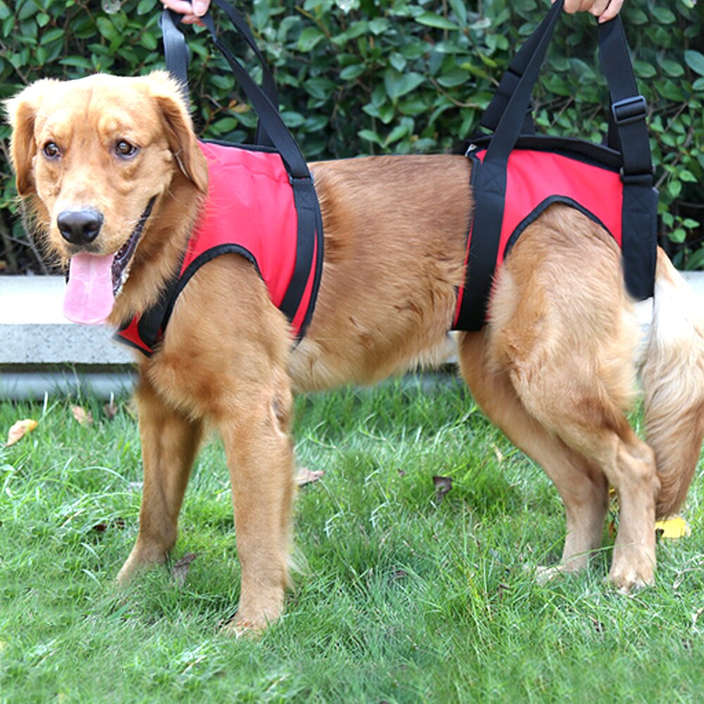 Dog Lift Harness Comfortable Dogs Front Carrier Lift Harness Support Injured Old Arthritis Dogs