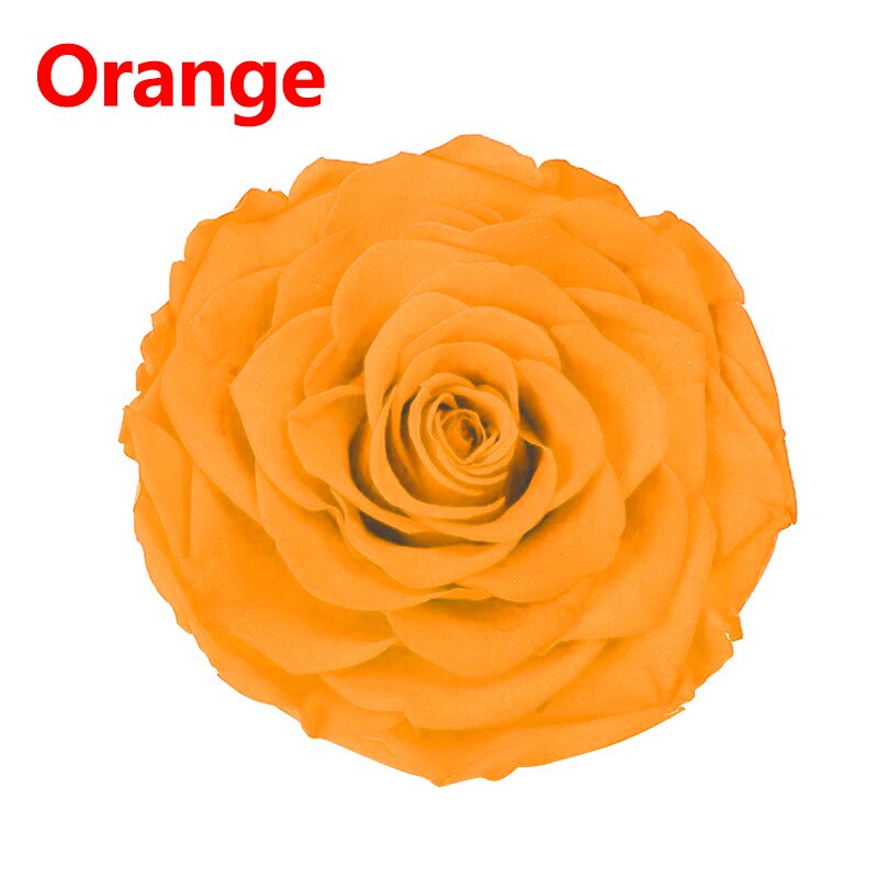 8 Stks/doos Bewaard Rose Bloemen Onsterfelijke Rose 5Cm Diameter Moeders Dag Diy Bruiloft Eeuwige Leven Bloem Materiaal: 7
