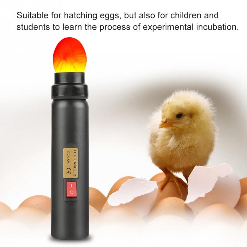 Mini Bright Cool LED Light Egg Candler Tester Auto Lighting Incubator For Experiment Exclusive High Power