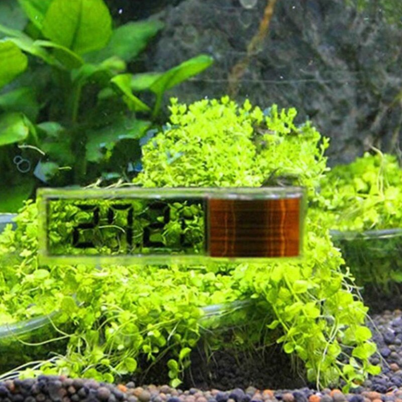 Aquarium poisson chenille électronique affichage numérique thermomètre 3D cristal liquide fluoromètre