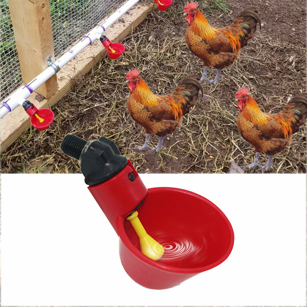 1/5Pc Gevogelte Water Drinkbeker Automatische Drinker Kip Kip Vogel Turkije