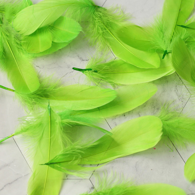 Refining Natural Feather Colourful Small Goose Feathers 3-8cm Photography props for Photo Background DIY Decoration: Green