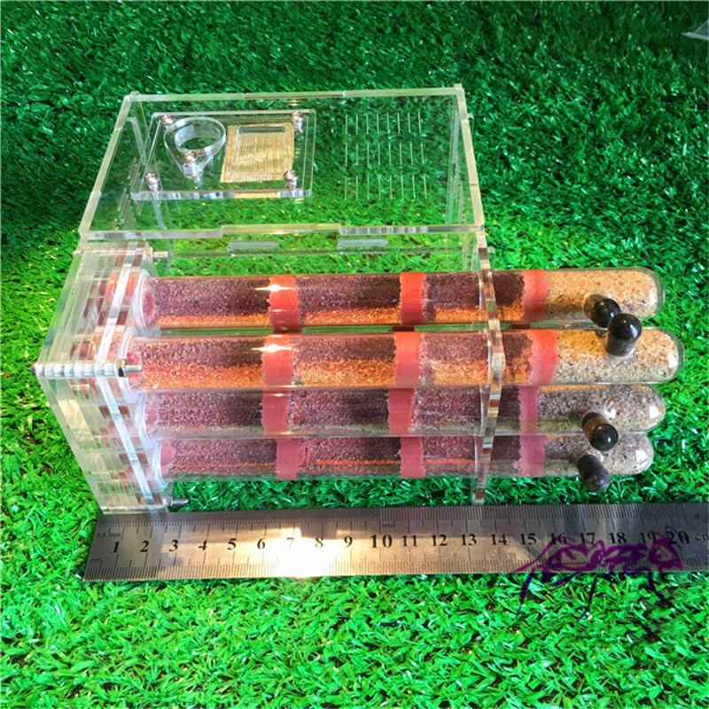Acrylic Ant Farm with Feeding Area Ant Nest Ants House Factory Insect 6 Test Tubes Pet Anthill