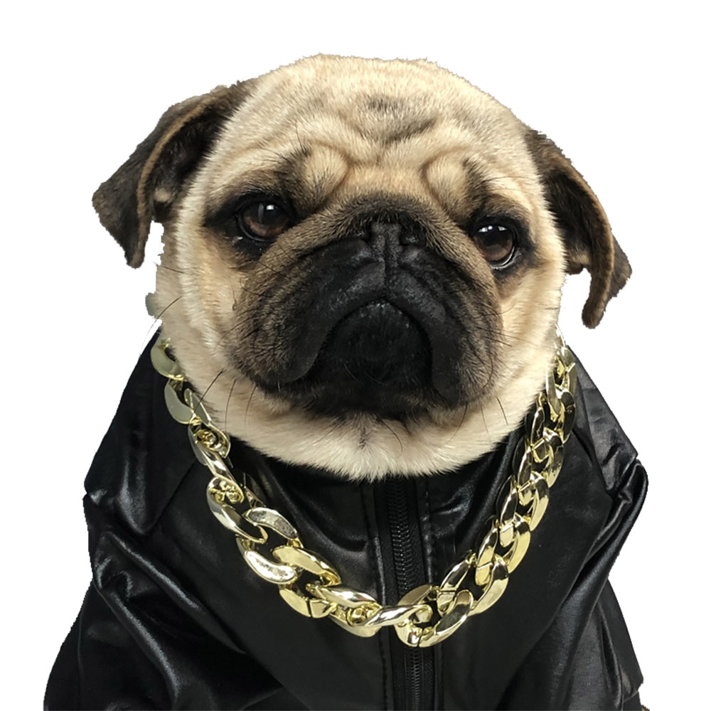 Collier en chaîne plaqué or pour animal de compagnie, pour chien, bouledogue français, à libération rapide, collier pincé, drôle, déguisement, accessoires pour animaux de compagnie