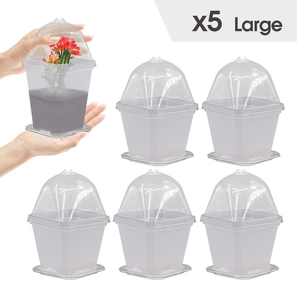 4-maten tuinkwekerij zaailingbeker met warmer deksel vochtigheidskoepel voor binnenkas bloempotten container kweekpotten: green