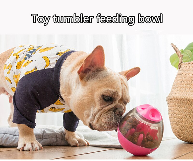 Voor Huisdier Kom Hond Fles Feeder Tumbler Speelgoed Katten Kom Automatische Feeder