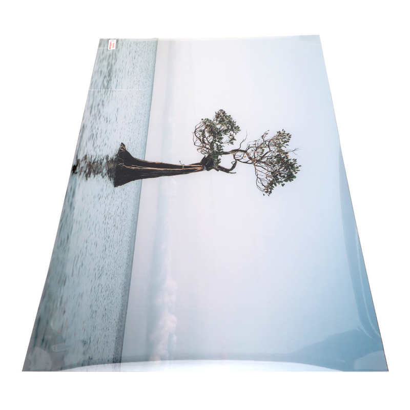 Self Adhesive Fish Tank Wallpaper Aquarium Background Poster Lifelike Tree in The Sea Style for Tank