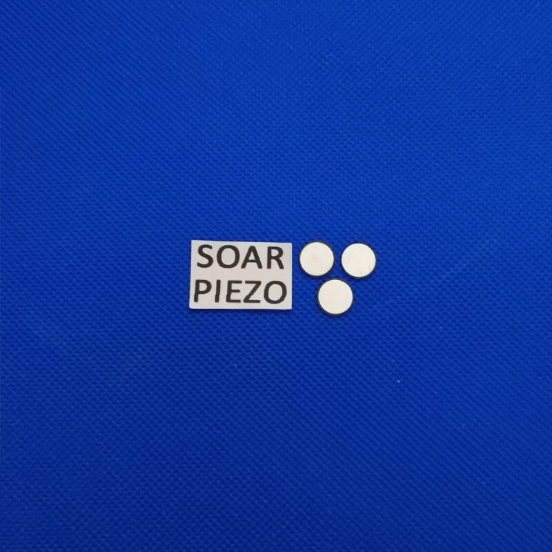 Ultrasone Piëzo-Elektrische Keramische Schijven 10*0.50mm-PZT4 Piezo Discs PZT Kristallen Sensor Element Schoonmaken Zender Chips