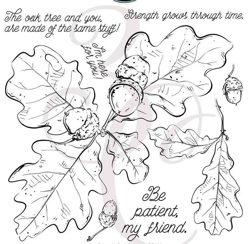 Bladeren/kerst Clear Siliconen Stempel/zegel voor DIY Scrapbooking/Album Decoratieve Duidelijke Stempel Vellen A003: WHITE