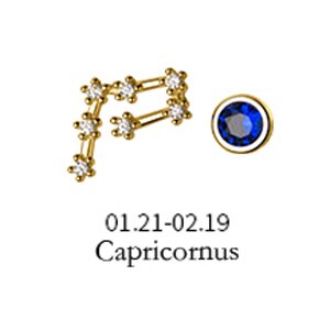 MloveAcc 12 Konstellation Stern Asymmetrie Ohr Studs Kristall Sternzeichen Wassermann Krebs Skorpion Piercing Stud Ohrringe für Frauen Mädchen: Capricornus