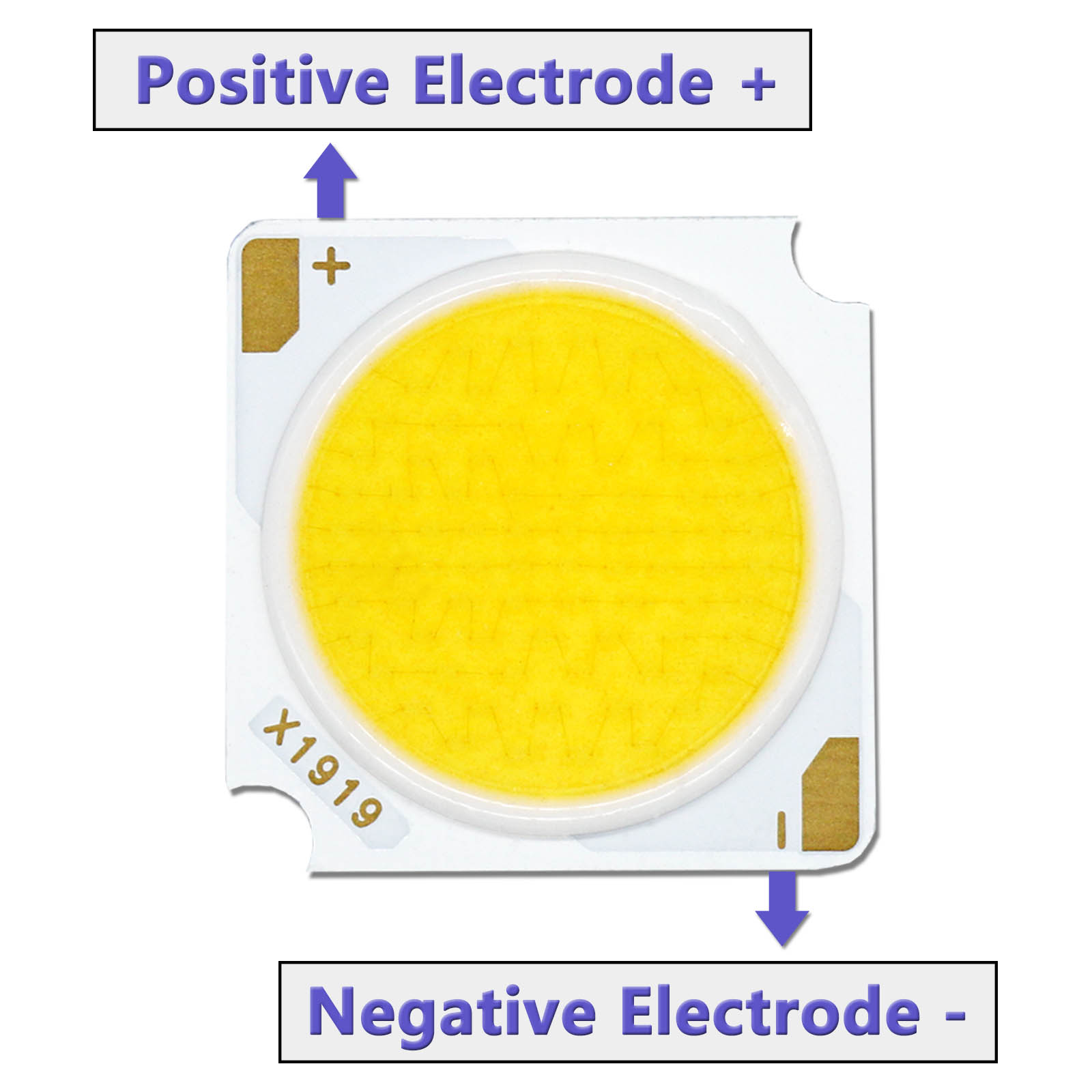 12W 18W 24W 30W 36W 42W DC36-39V Chip Bridgelux LED COB diodo emisor de luz 19*19mm LED DIY accesorios de fuente de luz de pista LED