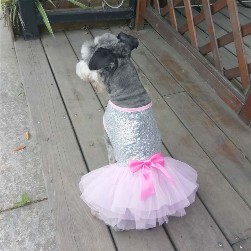 Vestido con lazo para perro y gato, falda con tutú, Princesa de lujo, para de boda, Chihuahua, verano,: Rosa / L
