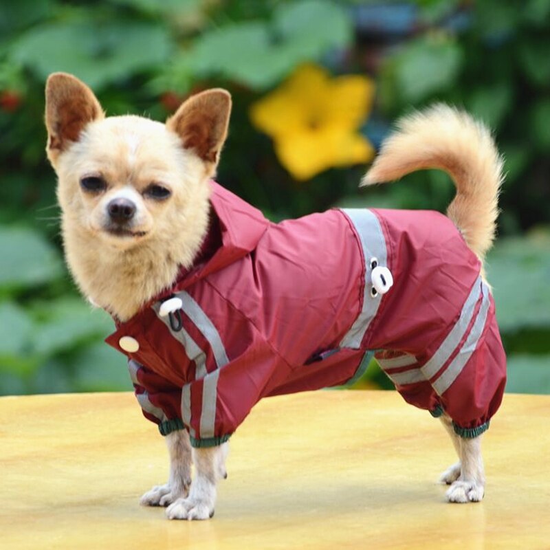 Wasserdichte hundebekleidung für kleine hunde, regenmäntel, jacken, welpenregenmäntel, yorkshire-Terrier- und Chihuahua-kleidung, haustierprodukte