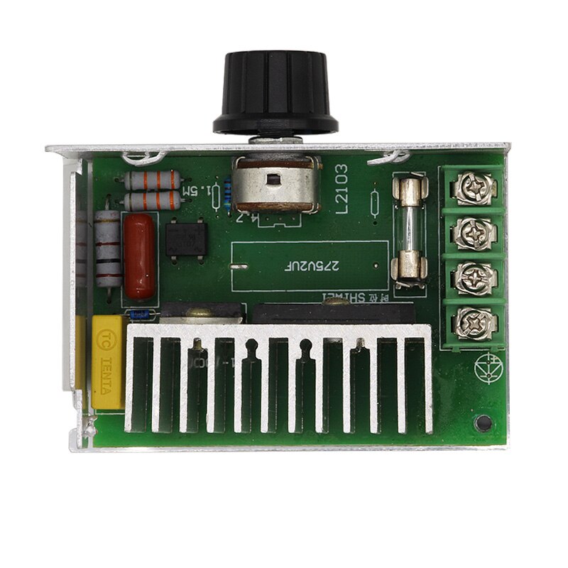 Input Ac 220V Output Dc 10-210V Pwm Controller Borstel 220V Dc Motor Gouverneur Speed Regulator