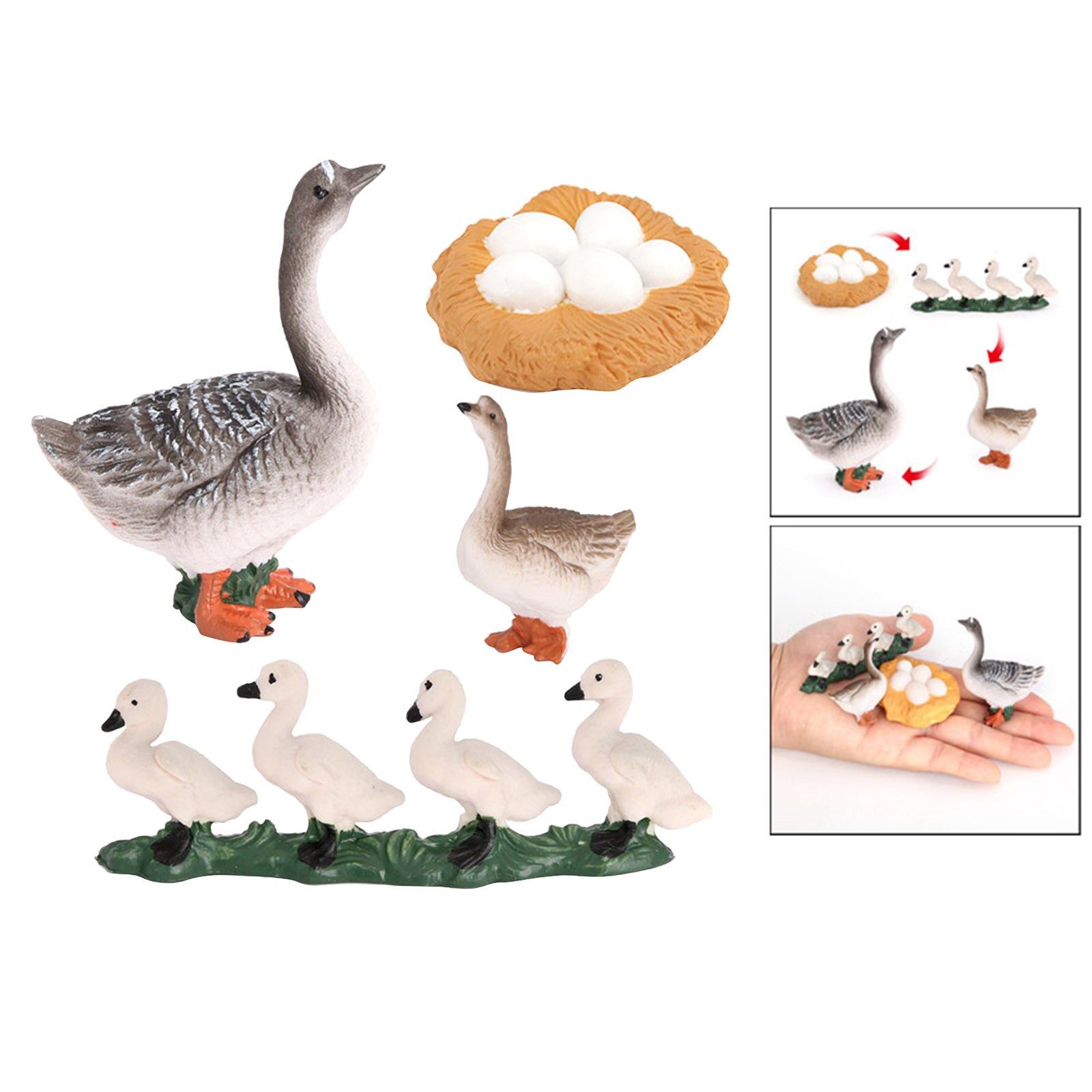 Growth Cycle Model Toys Life Cycle of Goose Animal Figure Model Education Toys