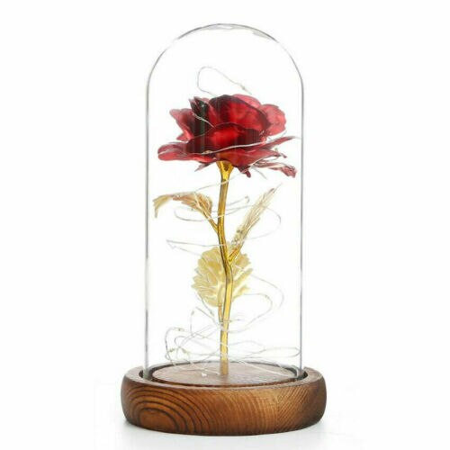 Valentinsdag for hende ham udødelig bevaret rosenblomst med glaskuppel: Rød