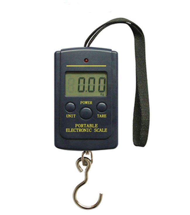 40 kg x 10g Draagbare Mini Elektronische Digitale Weegschaal Opknoping Fishing vis Hook Pocket Weegschaal Gratis