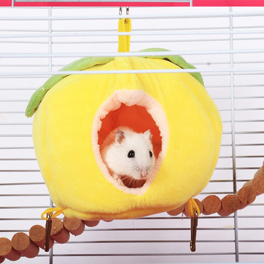 Marsvin hamster pindsvin vinter varme små dyr kæledyr hængekøje chinchilla hjem levende rede hængende seng plys frugt hus: -en