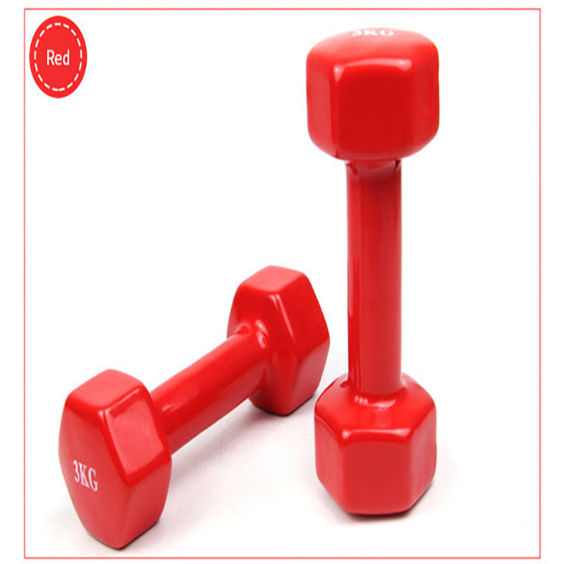 New1Kg Fitness Dumbbell women's fitness dumbbell Arms For Fitness Gym sports goods equipment 2pc: Smooth red 1kg