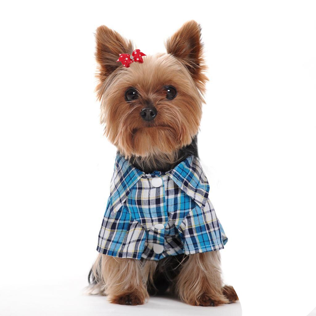 20/50/pcs Leuke Pet Grooming Accessoires Hond Haarelastiekjes Met Elastiekjes Crystal Rhinestone Boutique Voor Lange haar Kleine Hond Kat