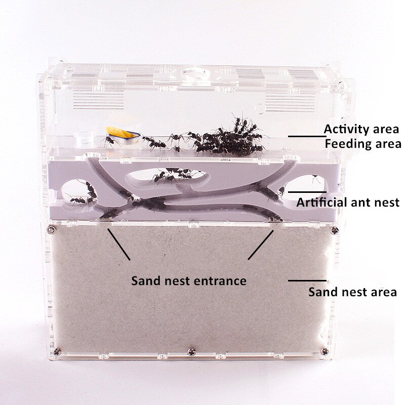 Myre transparent akryl combo med hybrid sand myre rede formicarium myre gård: Stil 1