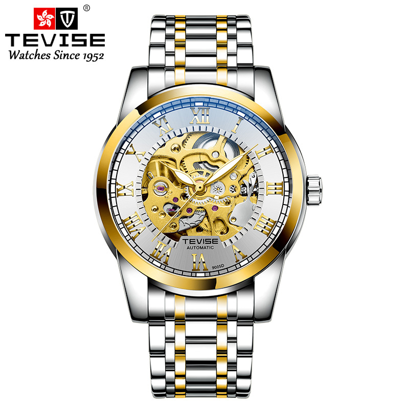 Tevise Horloges Roestvrij Staal Waterdicht Heren Skeleton Horloges Top Luxe Transparante Mechanische Sport Mannelijke Horloges: gold white