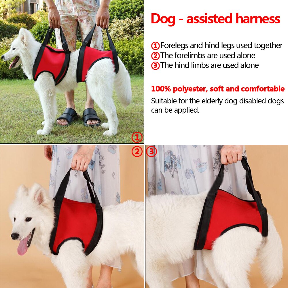 Dog Lift Harness Comfortable Dogs Front Carrier Lift Harness Support Injured Old Arthritis Dogs