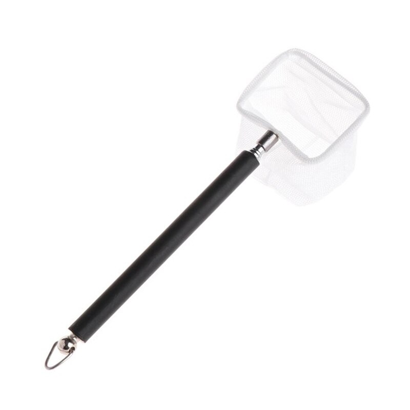 Mini red de camarón para acuario, malla fina telescópica, pequeña red de pesca con mango largo de acero inoxidable, M56: Square Network